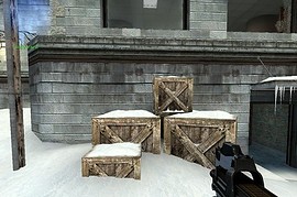 Hojo's White And Black P90