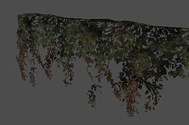 ivy01