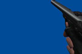 Furious Ruger