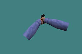Colt