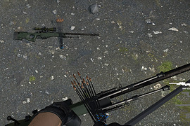 AWP bow
