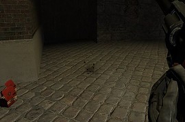 Black Magnum - SP Edition