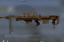 DSR1