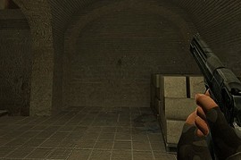 STALKER style DEagle