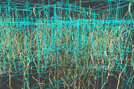 grass_pack3