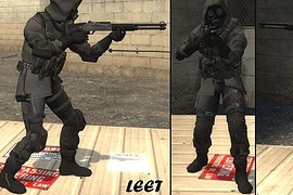 Operation Raccoon City