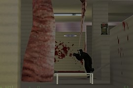 half_life_pool_day