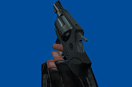 Taurus Snub-nose