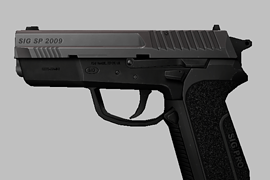 Sig Pro 2009