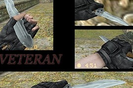 Veteran
