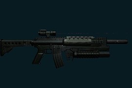 CZ - Lone Wofls Lr300
