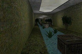 aim_Stuper_Forest_final