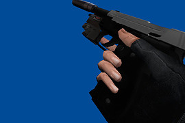 Sig Sauer P226 Black & White