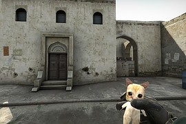 El Gato