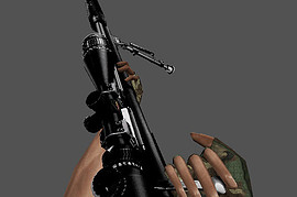 PC - M24 Werewolf Hunter