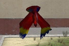 Parrot_Skin