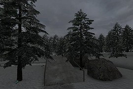 dm_winterfun