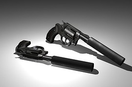 Silenced .357