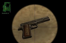 Engraved colt