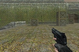 USP .45