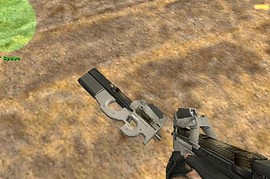 Stainless Steel P90