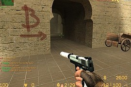 USP BrokenH3arts Custom