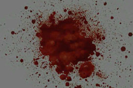 BumpBlood for CSS