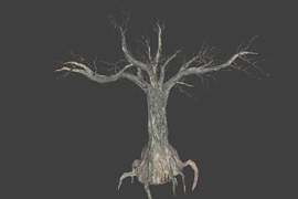 big_tree_l10_swamp
