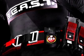 Chris B.E.A.S.T