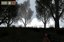 dod_forest