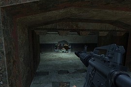 Twinke_Polygon_M4A1