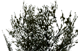 vts_kust.mdl
