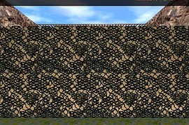 race_military