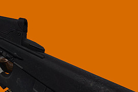 FN 2000