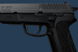 Sig Pro 2009