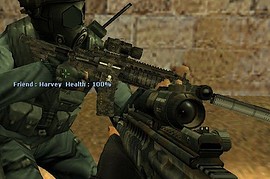 camu hk416