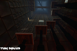 Factum Solus