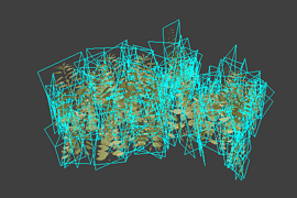 grass_pack5_small