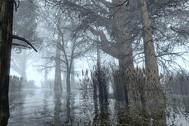 Dead Lab