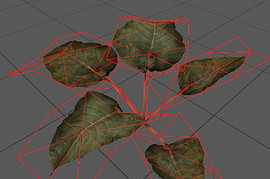 plant2