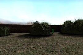 Pampas_Grass_01