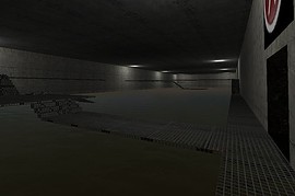 dmt1_map8b