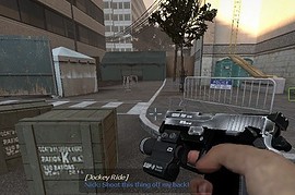 Two_Toned_Pistol