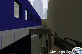 Aim_dgs