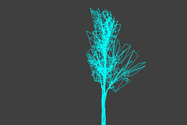!tree_04