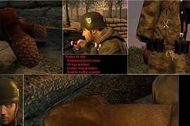 Realistic_Waffen-SS