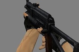 PP Bizon