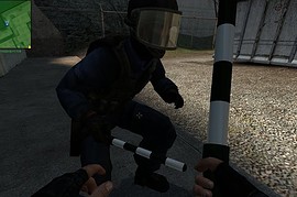 Police_staff