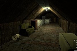 zph_roofrun