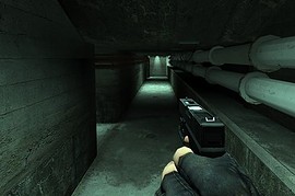 SeeMurder's Glock